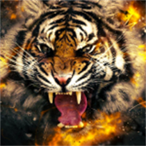 Animal Wallpaper logo