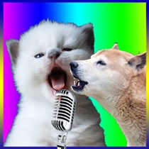 Animals-for-Kids logo