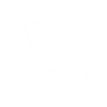 ChristmasScribble logo