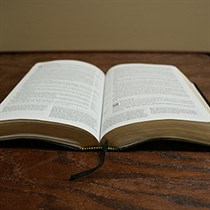 Daily Bible Reading logo