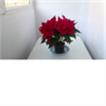 Health_past_present_future_UW logo