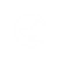 Internet Browser logo