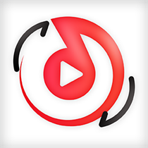 Media converter Master Guru logo