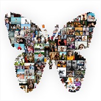 Photo & Shapes Collage Maker logo