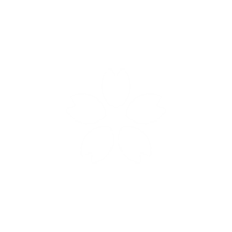 Sakura photo Viewer logo