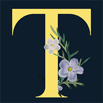 Text on Photos - Word Quotes - TextArt logo