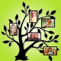 Tree Collage Photo Maker logo