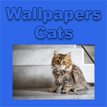 Wallpapers - Cats logo