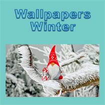 Wallpapers - Winter logo