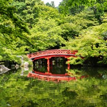 Wallpapers - ponds logo