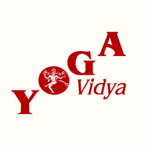 Yoga vidya logo