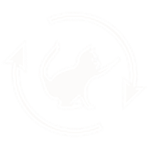 click and convert logo